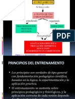 Principios Del Entrenamiento Deportivo