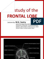 Mri Study of The Frontal Lobe