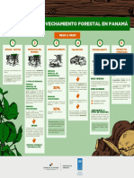 Pasos del aprovechamiento forestal en Panamá: Obtención del permiso