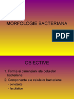 Curs 2 Morfologia Bacteriana