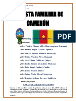 Canasta Camerún