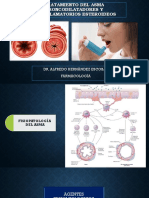Tratamiento Del Asma