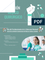 PDF Cuidados de Enfermería