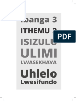 GR 3 Term 2 2020 HL IsiZulu Lesson Plan