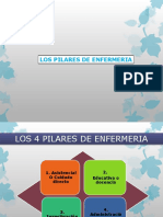 4 Pilares de Enfermería