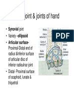 Wrist Joint & Joints of Hand