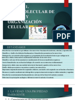 Unidad 1 Base Molecular de La Vida y Organización Celular