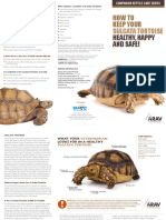 How To Keep Your: Sulcata Tortoise