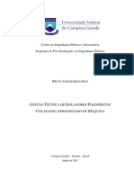 Gestão Técnica de Isoladores Poliméricos