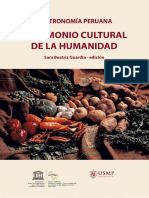 GP Patrimonio Cultural Humanidad 294