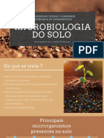Microbiologia do solo ( Microrganismos)