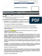 Esquema de Ensayo Del Aporte de Fiorella