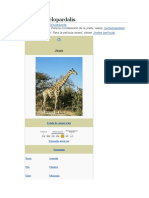 Giraffa Camelopardalis