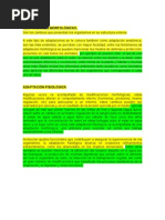 Download ADAPTACIONES MORFOLGICAS by joro61 SN57154759 doc pdf