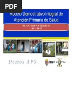 Plan Estrategico Modelo APS