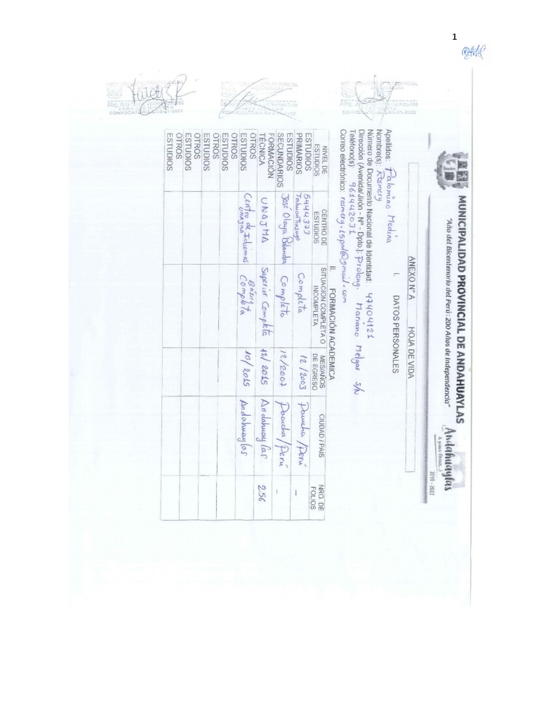 Cv rosmery palomino medina simple pdf