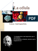 La célula