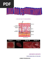 Download Buku Wound Care by Lean Ws SN57158425 doc pdf