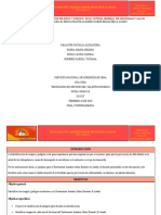 Identificación de Peligros y Riesgos en El Sistema General de Seguridad y Salud en El Trabajo