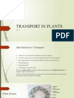 Transport in Plants: Unit 2