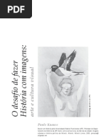 Knauss-imagem e Visualidade