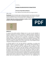 Trabajo de Estrategias de Potenciación de La Lengua Escrita García