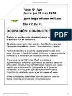 Pase laboral conductor alimentos Junín-Chanchamayo