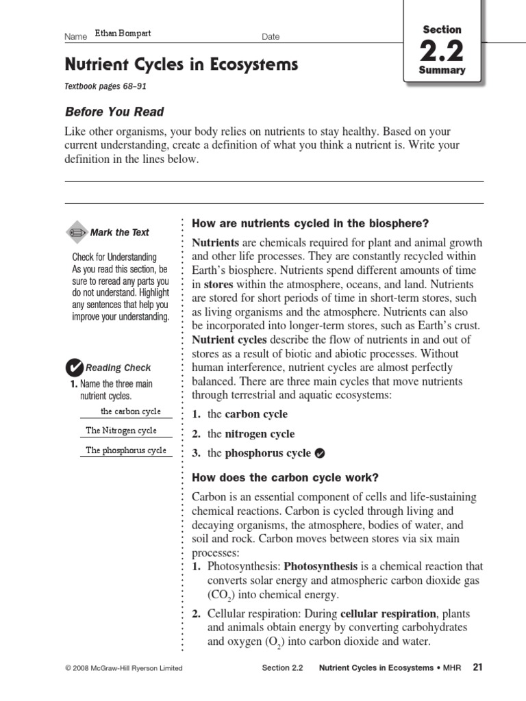 Kami Export Cycles Activity Pdf Carbon Cycle Ecosystem