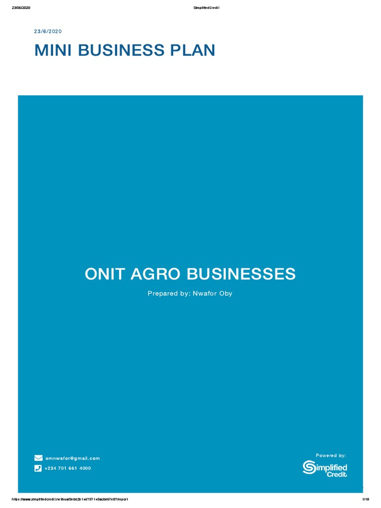 SimplifiedCredit Business Plan Fishery PDF Revenue Economies