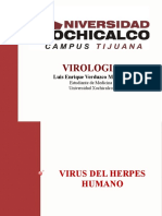 Virus del Herpes Simple (1 & 2)