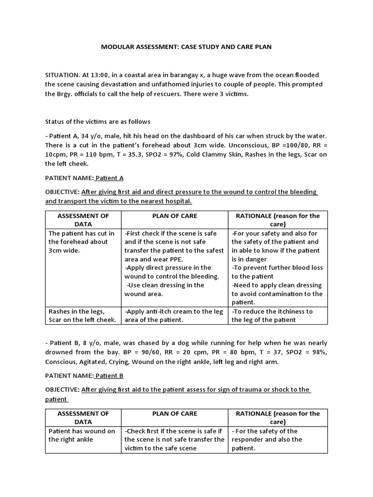 Modular Assessment: Case Study and Care Plan | PDF | First Aid | Patient