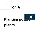 Section A Planting Potato Plants