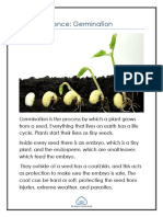 Primary Science: Germination