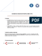 SCHEME DE FINANTARE PENTRU IMM si PFA