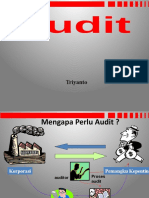 Audit Eksternal: Mengapa Diperlukan