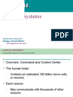 Nervous Systems: Powerpoint Lectures For