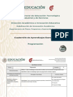 CAE Programación M2