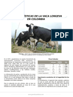 Caracteristicas de La Vaca Longeva en Colombia
