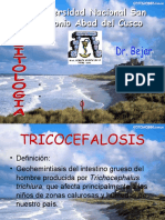 TRICOCEFALOSIS