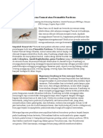 Fenomena Dermatitis Paederus Tomcat.1