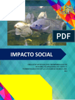 Impacto Social1