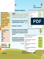 FICHAS 5° JUNIO 07 al 11 - MAT 2