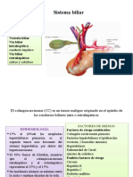 Sistema Biliar