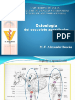 Esqueleto apendicular: Osteología del esqueleto de los miembros torácicos y pélvicos