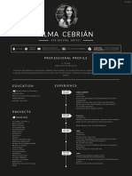 Alma Cebrián: Professional Profile