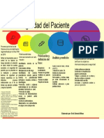 Modelo Seguridad Del Paciente Erick Estrada