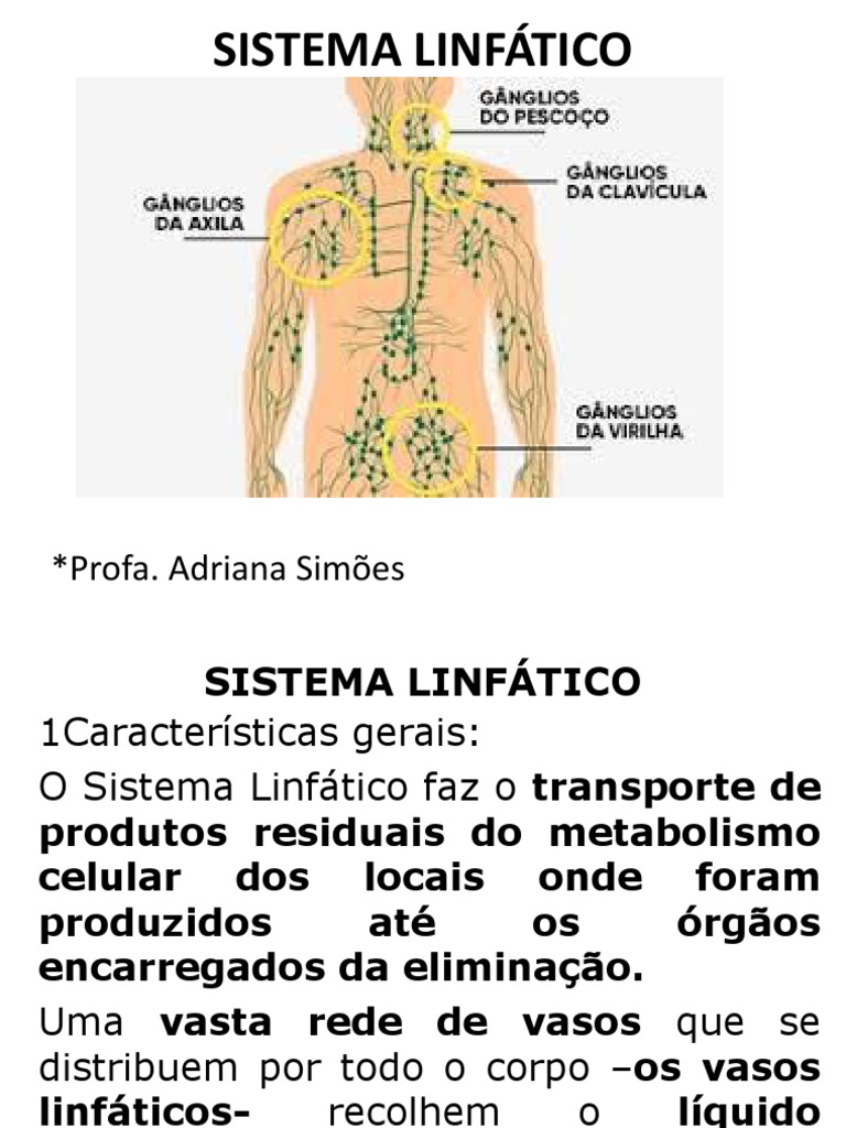 Estrutura e Função do Sistema Linfático | PDF | Sistema linfático | Linfa