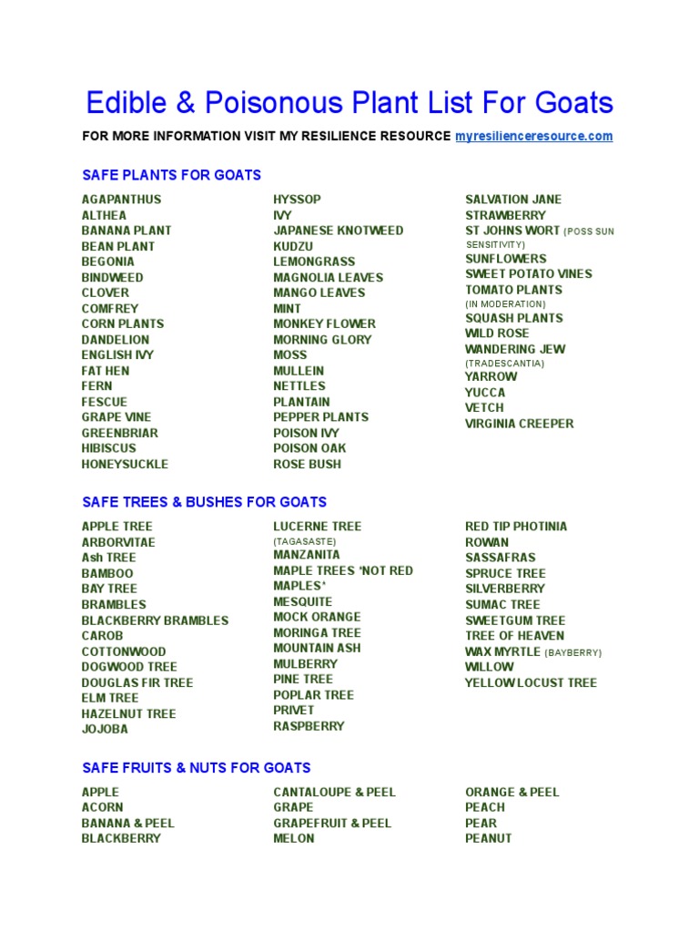 Edible & Poisonous Plant Lists For Goats PDF Trees Fruit