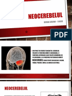 NEOCEREBELUL - Fiziologie