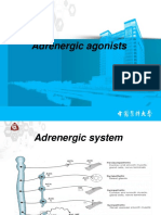 4adrenergic System2020